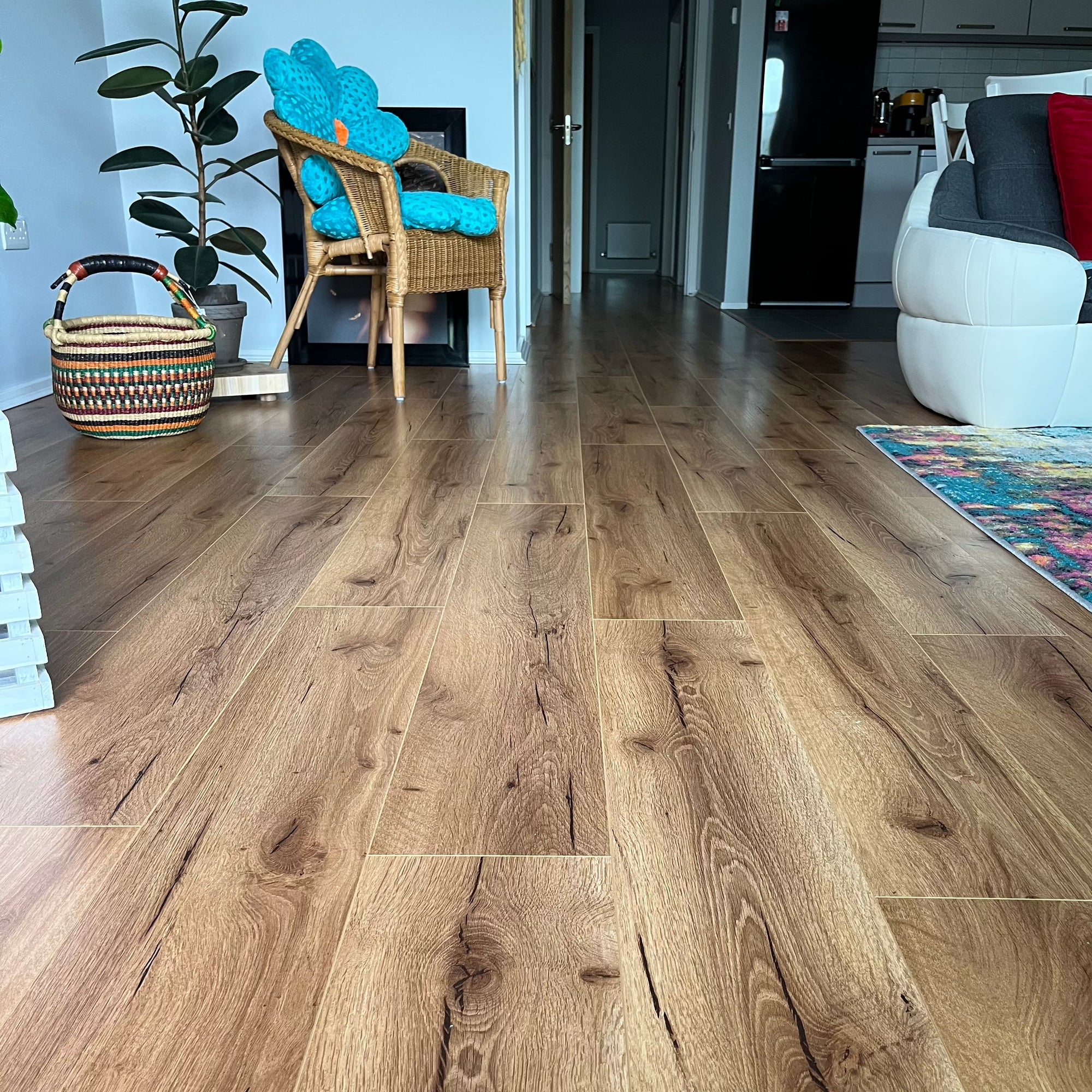 Konig Essence Pro Richmond Oak 12mm