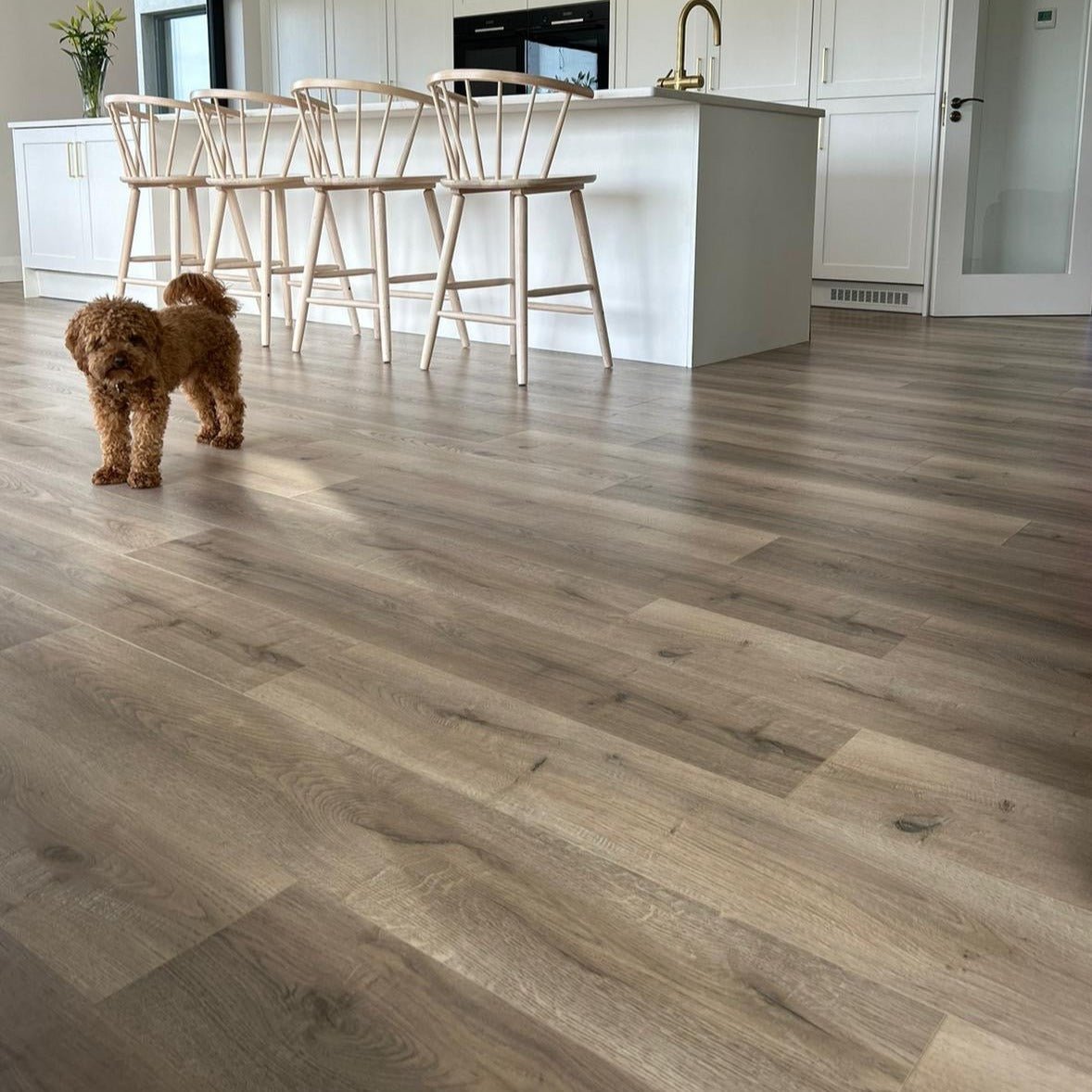 Konig Essence Harvest Oak 12mm