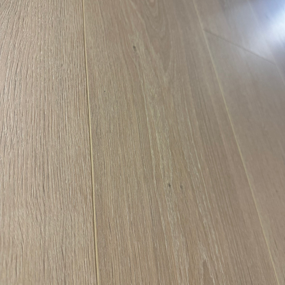 Konig Essence Pro Seaside Oak 12mm