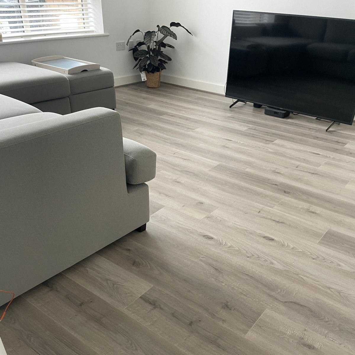 Konig Essence San Francisco Oak 8mm