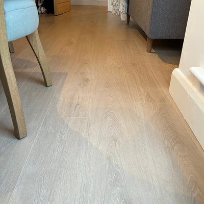 Konig Essence Coastal Oak 12mm