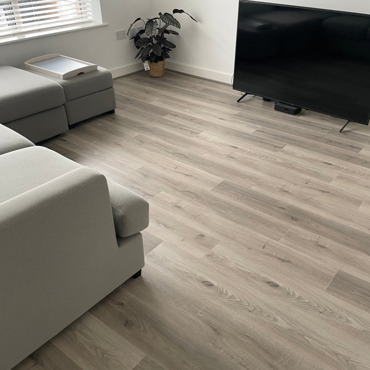 Konig Essence Kingswood Oak 12mm