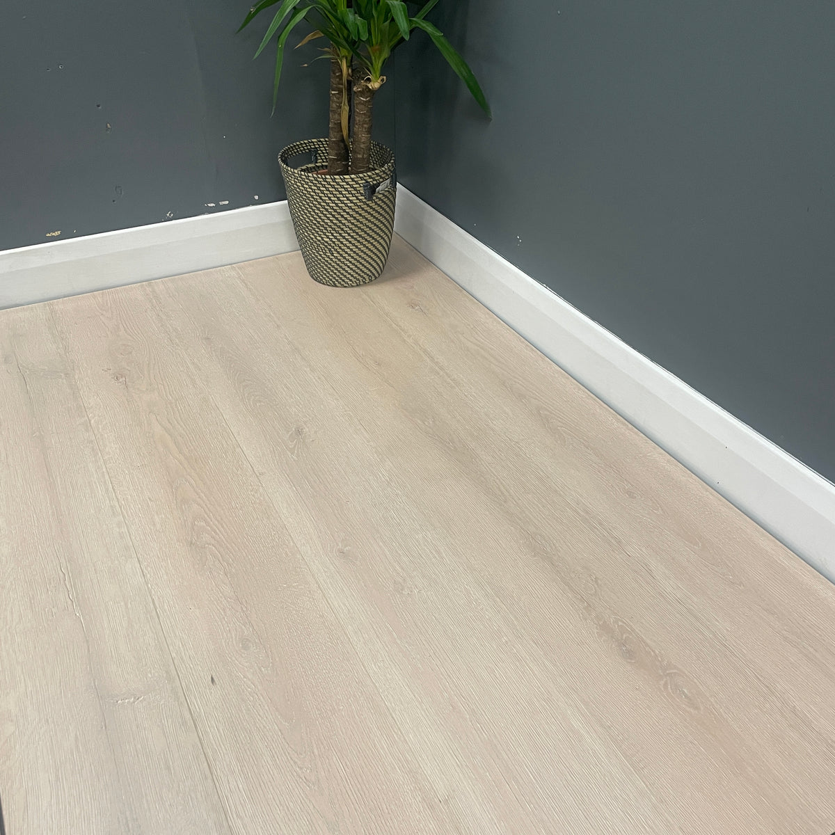 Baum Aqua Plus Pale Oak 12mm