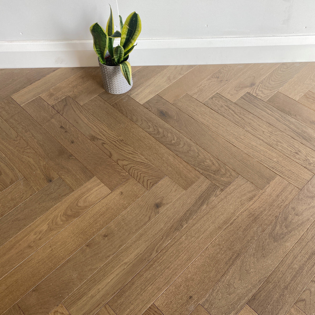 Konig Native Light Grey Oak Herringbone