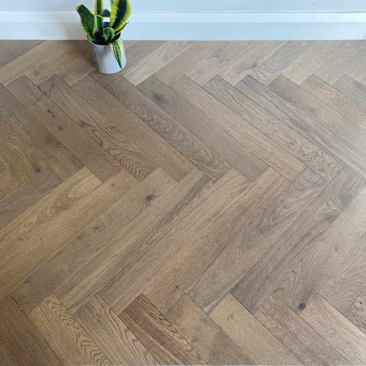 Konig Native Light Grey Oak Herringbone